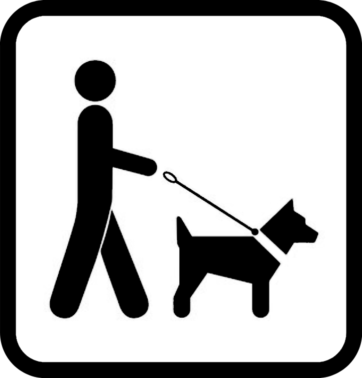 Chiens tenus en laisse